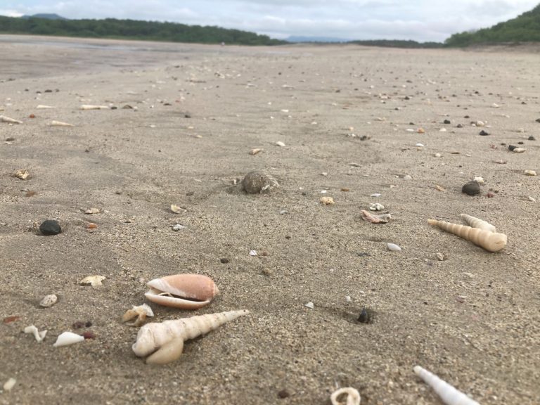 Costa Rica Beach - Jesse_s Justice