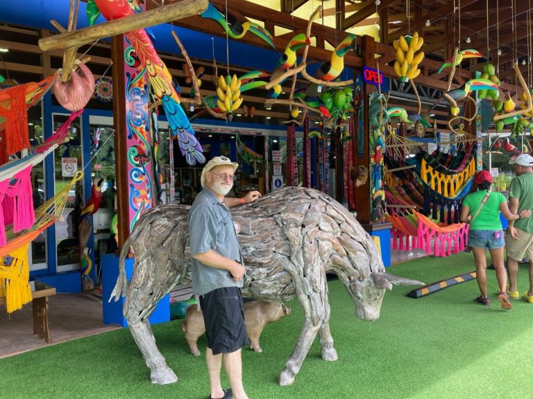 La Fortuna - Ashes left between pieces of driftwood - Jesse_s Justice