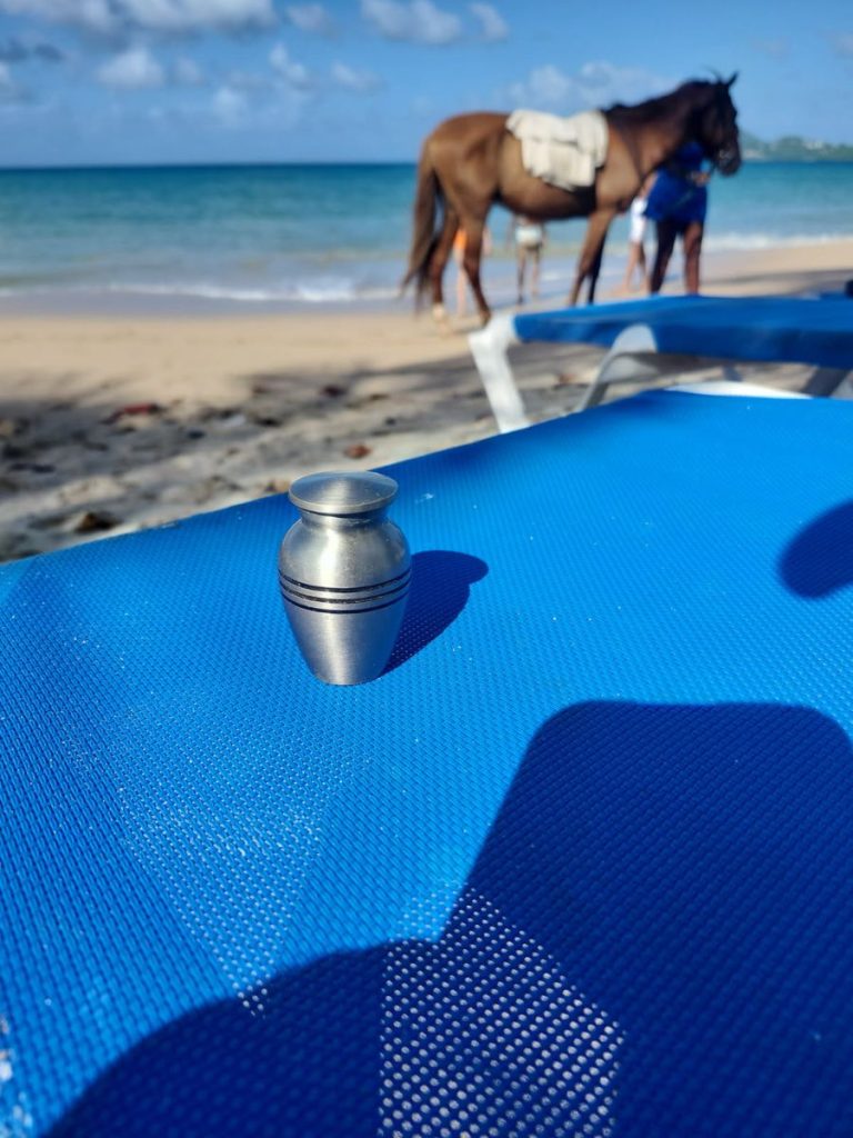 St. Lucia - Beach - Jesse's Justice